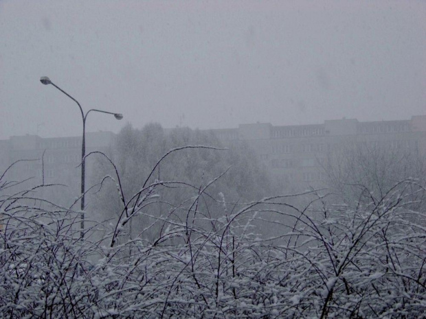 Wróciła w marcu #Warszawa #zima #SaskaKępa #UlStanówZjednoczonych #TrasaŁazienkowska #śnieg