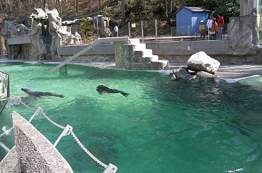 ogród zoologiczny w Libercu #zoo #Liberec #czechy #zwierzęta