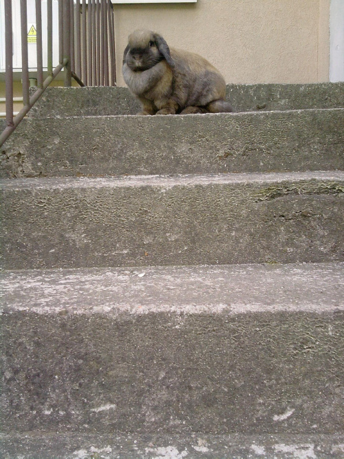 Na wysokościach.