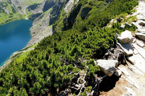 Tatry 8-18.07.2010 - Murowaniec - Kościelec- Granaty- Kozia Dolinka- Boczań- Kuźnice-Kalatówki- Jaworzynka- Sucha Woda- Zakopane- Stara Roztoka- Zelene Pleso-Dolina Pięciu Stawów Polskich- Kozi Wierch