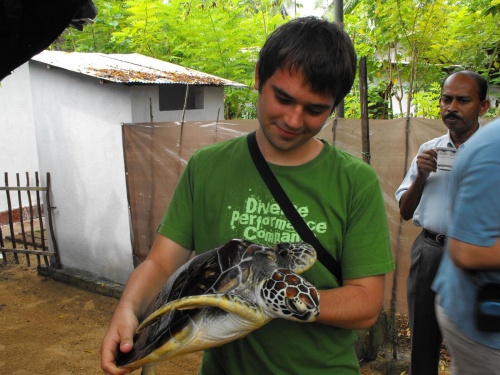 Sri Lanka 2008 , ferma żółwi