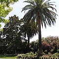 Sonoma (zapchana samochodami...)