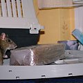 22.09.2010