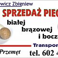 #SkupISprzedażPieczarki #brązowej #białej #boczniaka #ZbigniewWitkiewicz #PhuZbigniewWitkiewicz #przemęt #TransportWłasny