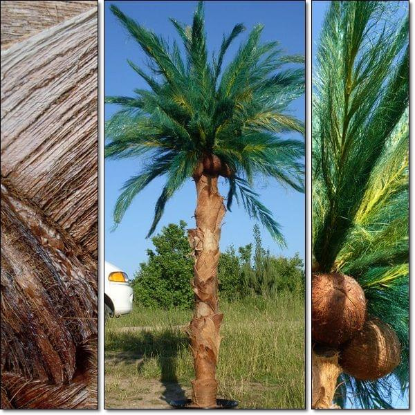 sztuczne palmy sztuczna palma na wymiar pod zamówienie 48 888 216 887 #PalmaSztuczna #SztucznePalmy #WystrójHawajski #wynajem #sprzedaż #latino