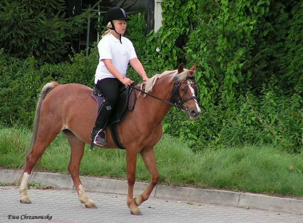 Puchar Indeksa - 2008.08.23 Klubowe i Indeksa