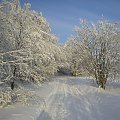 Droga do Katarynek, widok do góry