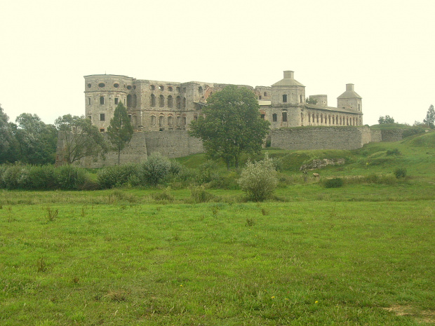 Ruiny Pałacu w Krzyżtoporze