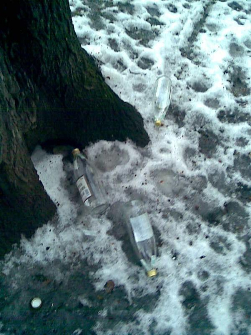 Chyba si.ę działo pod tym drzewem:) #drzewo #alkoholizm