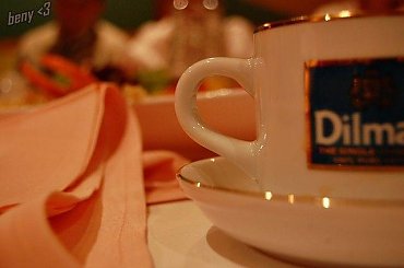 #herbata #filiżanka #stół #serwetka #Dilmah