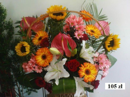 kwiaciarnia w szczecinie z dowozem tel.666044974 #BukietyWiązankiKwiaty