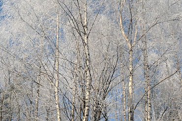#Bytom #BeuthenInOberschlesien #Bithomia #Bethania #GórnyŚląsk #SilesiaSuperior #Oberschlesien