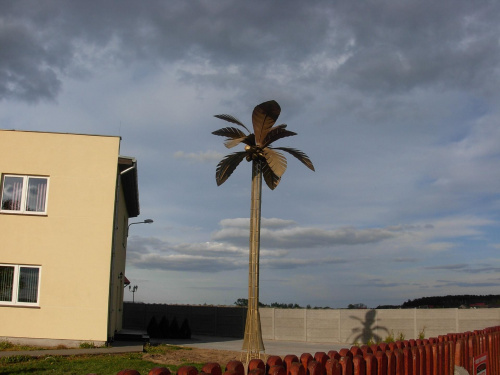 www.sztucznepalmy.pl #palmy #palma #sztuczna #drzewa #stalowe