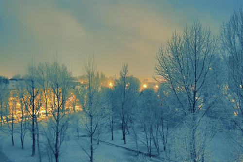 Gliwice, niezwykły w lutym powrót zimy ;)
