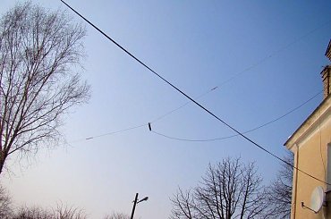 dipol #dipol #CbRadio #jackson #antena #balun