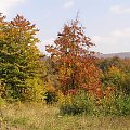 Bieszczady #Bieszczady #góry #jesień