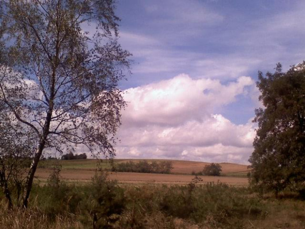 #las #pola #niebo #natura
