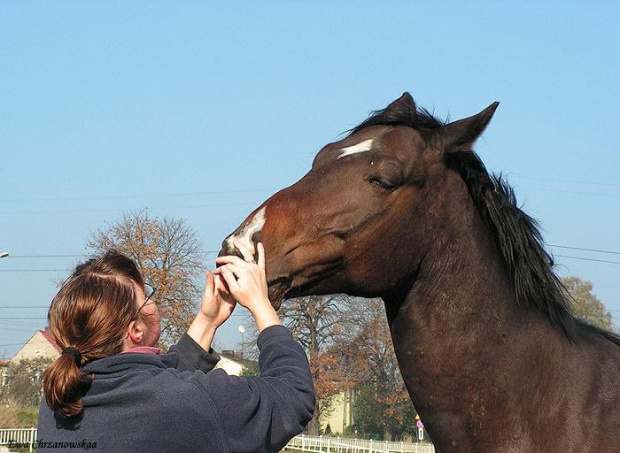 2008.10.26 Konie w Stodołach