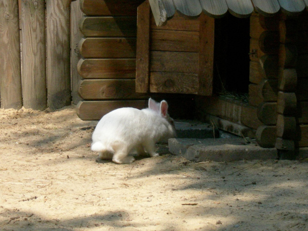 CHORZOWSKIE ZOO WYPRAWA NR 2 :]