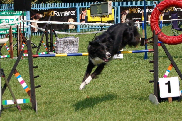 PP Agility Białystok 22.07.2007