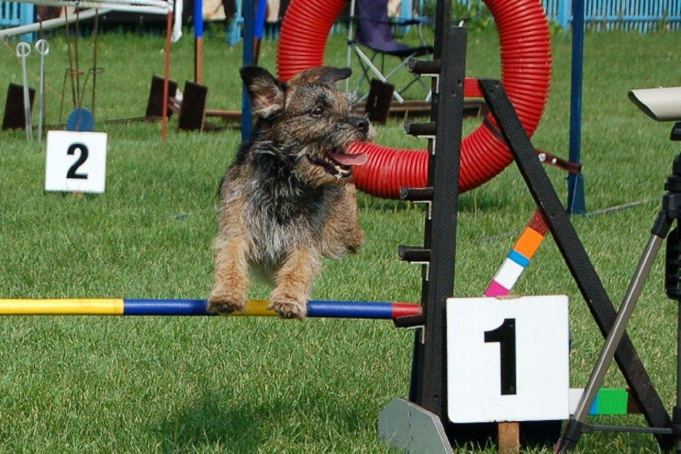 PP Agility Białystok 22.07.2007