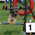 PP Agility Białystok 22.07.2007