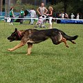 PP Agility Białystok 22.07.2007