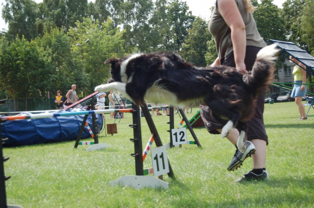 PP Agility Białystok 22.07.2007