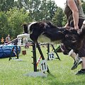 PP Agility Białystok 22.07.2007