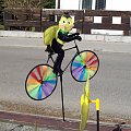 Pędząca pszczółka na wiatraczkowym rowerku...
Oj wiało,wiało...