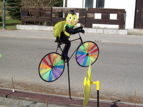 Pędząca pszczółka na wiatraczkowym rowerku...
Oj wiało,wiało...