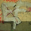 06.05.2007 - W PUSZCZY
