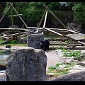 Belfast Zoo - 07/06/2008