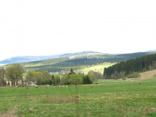 Wolibórz 01-04.05.2008