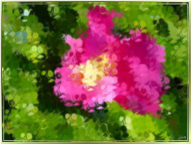 Rosa Rugosa,malowana inaczej #malowane #przeróbki #inaczej #DzikaRóża #krzew