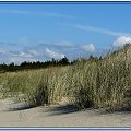 Sobieszewo-wydmy #widoki #plaża #wydmy #Sobieszewo #trawy