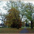 W Parku Miejskim #jesień #WParkuMiejskim #liście #drzewa #kolory #Gdańsk