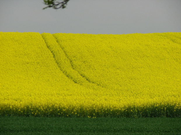 Wolibórz 01-04.05.2008