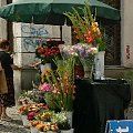 Warszawskie kwiaciarki #Warszawa