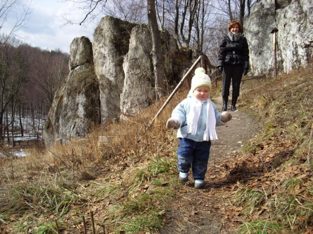 Kamiś na szlaku