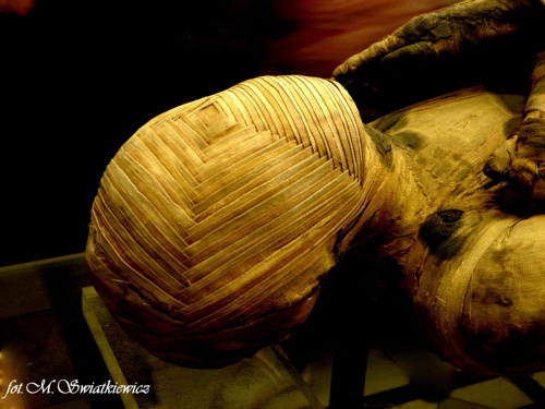 Georgous Mummy in Parisian Louvre