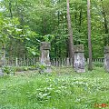 Cmentarz Jeńców Wojennych przy ul.Wojsławickiej w Chełmie - las Borek (pomordowanych w latach 1941-1944 ze Stalagów 319 w Chełmie) #Cmentarze