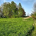 Podkarpackie pola #krajobrazy #pole #wiosna