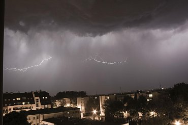 #burza #konwalie #las #piorun #pioruny