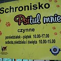 #pies #schronisko #bezdomność #smutek