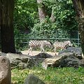 Nasze wszystkie dzieci i wnuki w łódzkim zoo