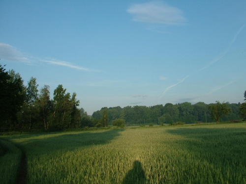 Bóbr