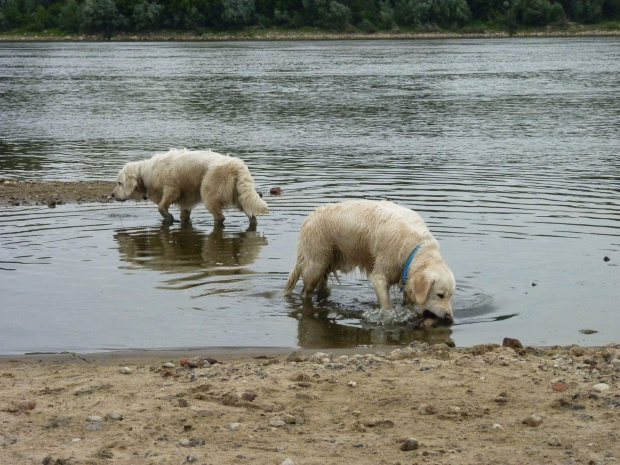 Brutus i Duffel, Wisła, czerwiec 2011