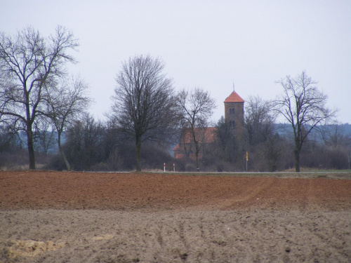 Widok na kościół św. Idziego z polnej drogi należącej do szlaku czarnego ( w tle droga 726 do Rawy Mazowieckiej )