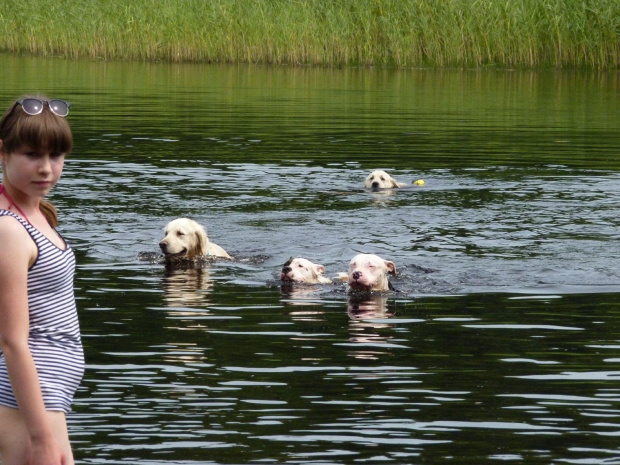 Brutus, Duffel, Lola i Benek, Kruczek, lipiec 2011